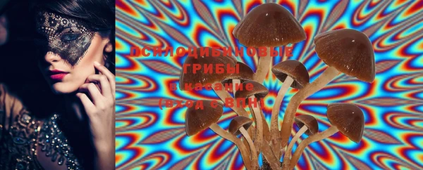 ECSTASY Ахтубинск