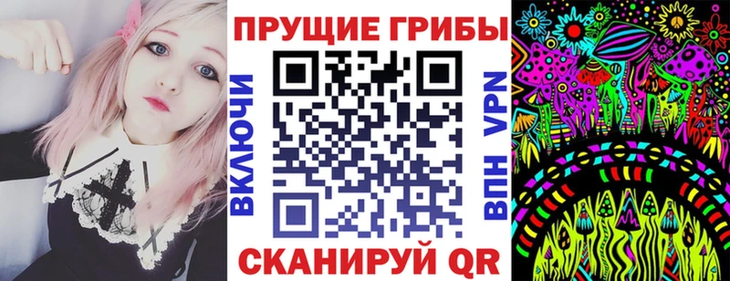 Псилоцибиновые грибы мицелий  Дно 